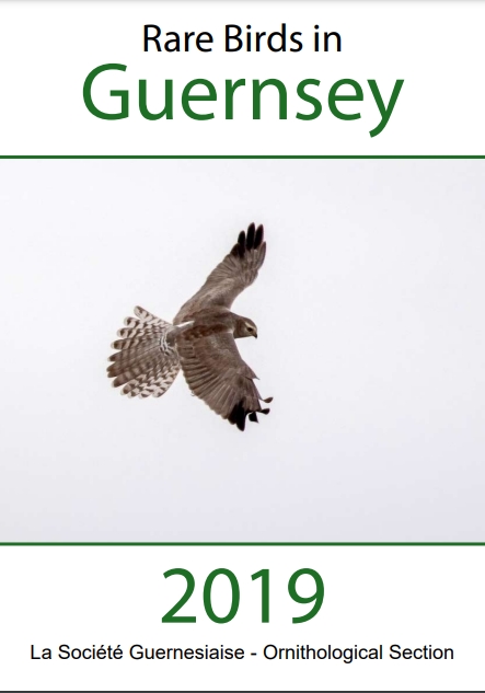 Latest Guernsey Bird Report
